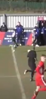 Colin buckley tweet media