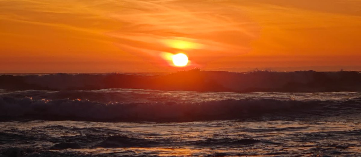 M de Mar,
M de Marzo.

M de más y mejor 🌊