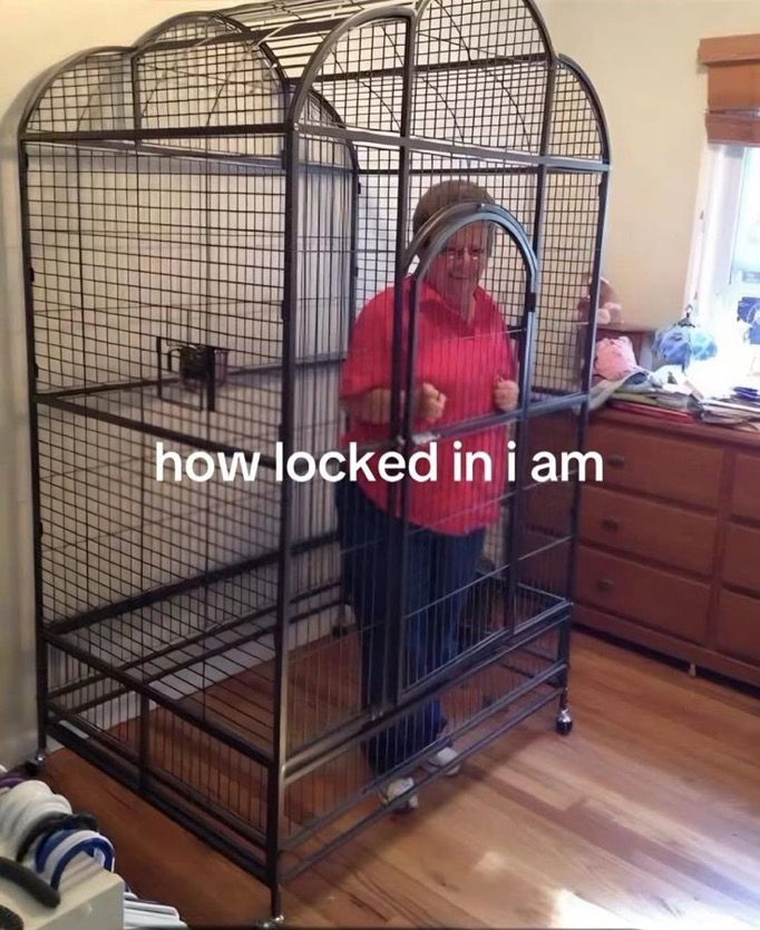 naz 🍍 tweet media