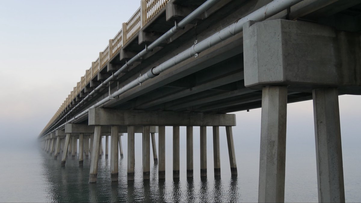 Steven Alexander tweet media