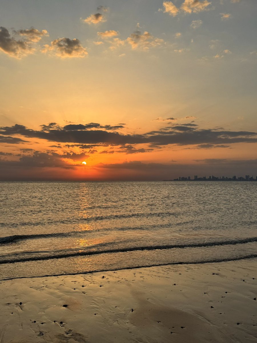 Manal Afaneh tweet media