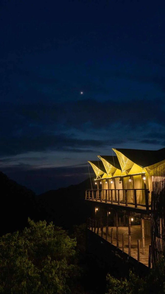 Chris Davis tweet media