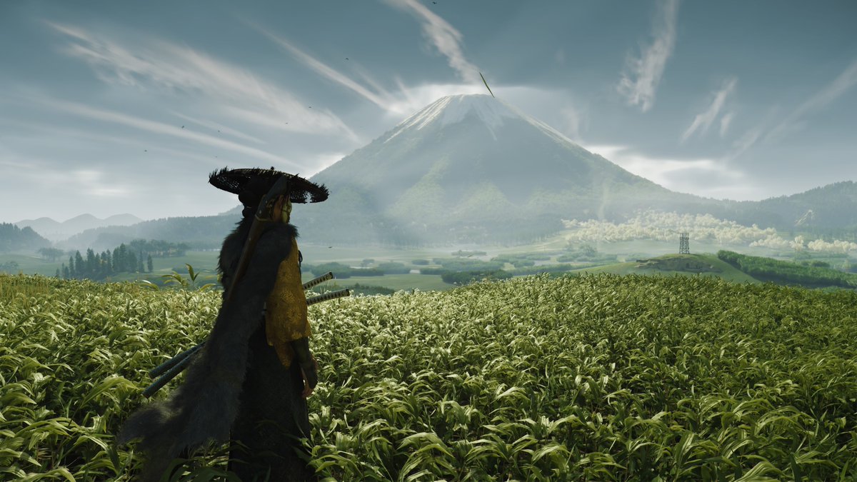 junkster tweet media