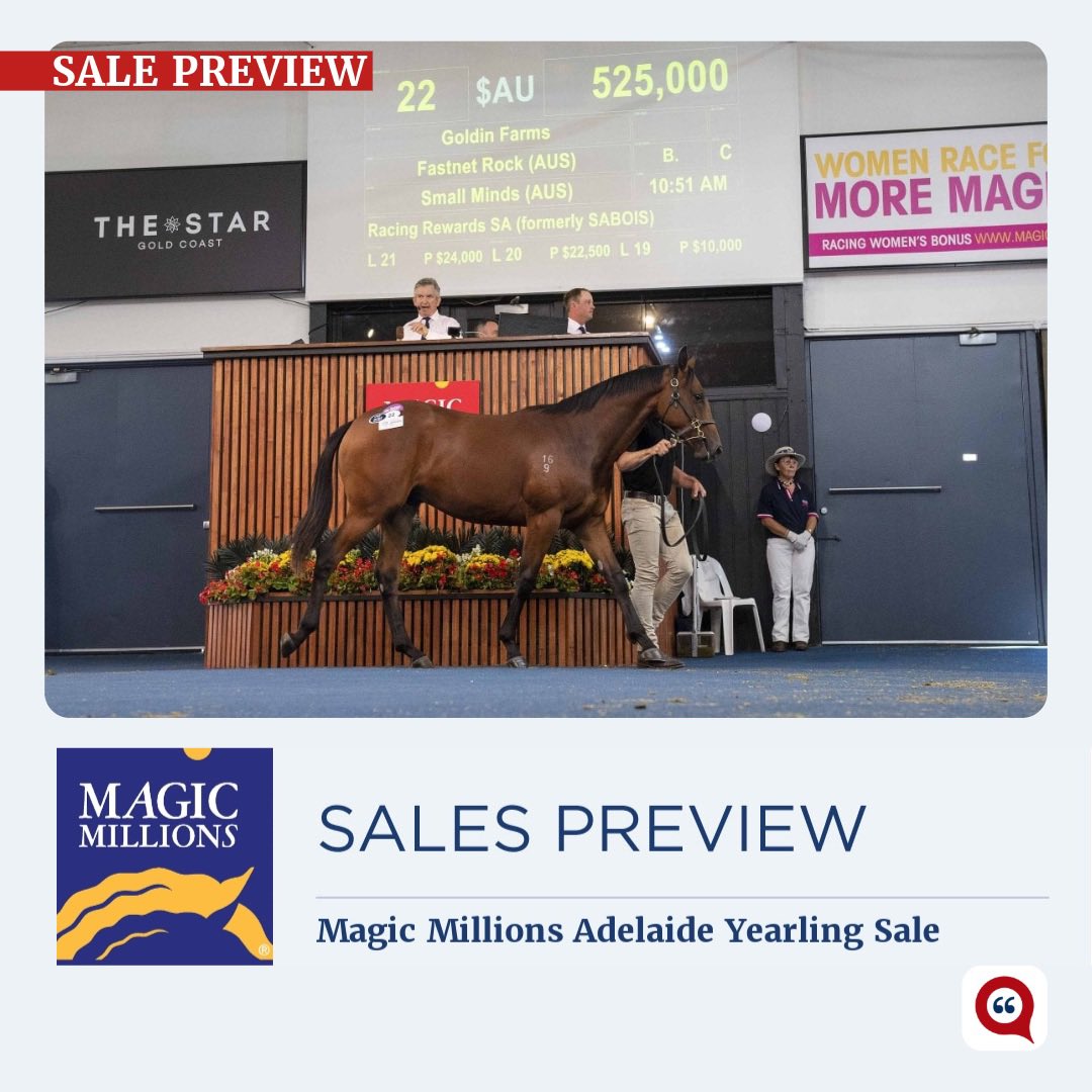 Thoroughbred Racing Commentary tweet media