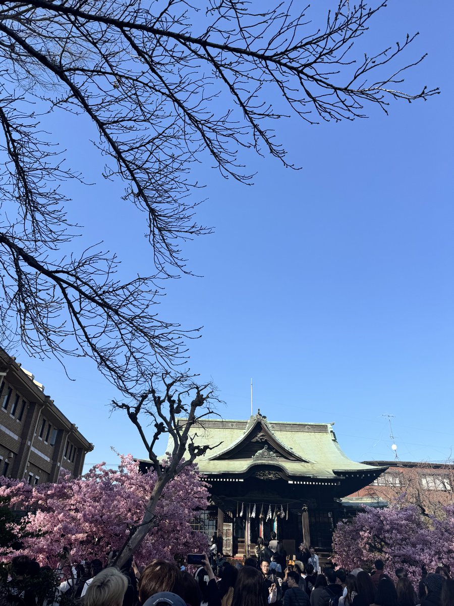 golmimiko's tweet photo. 桜🌸見に行った🌸 https://t.co/tPeQYkARFy