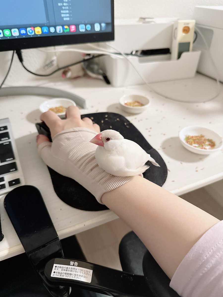 もこたま tweet media