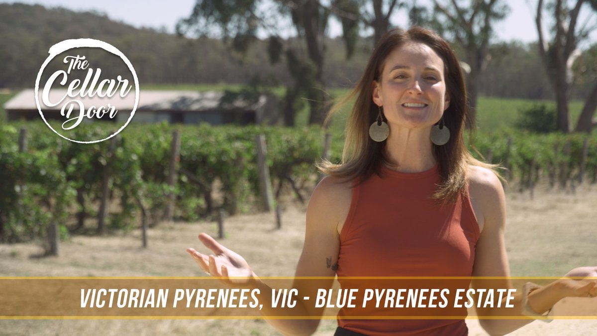 Channel 31 tweet media