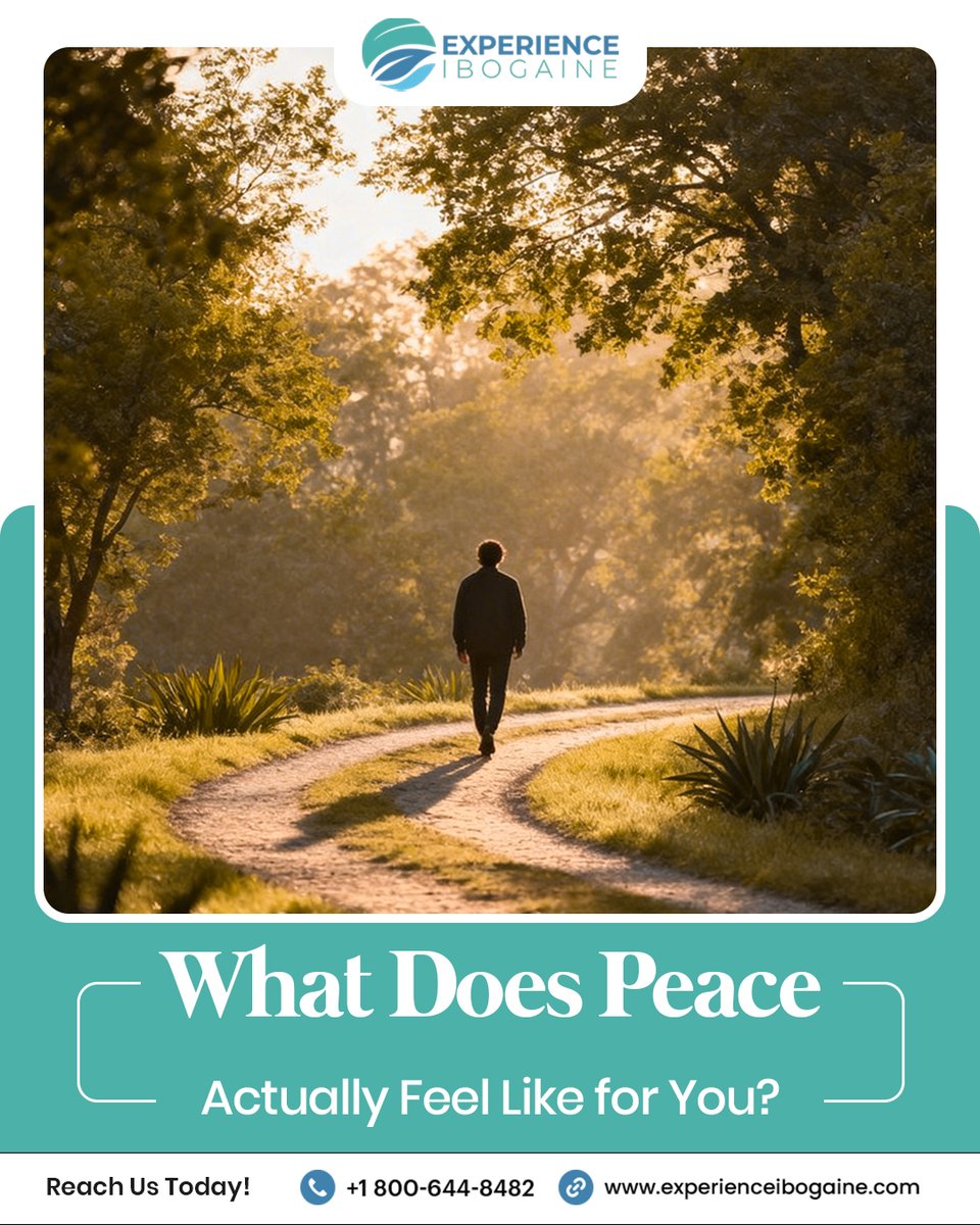 Experience Ibogaine Treatment Center tweet media