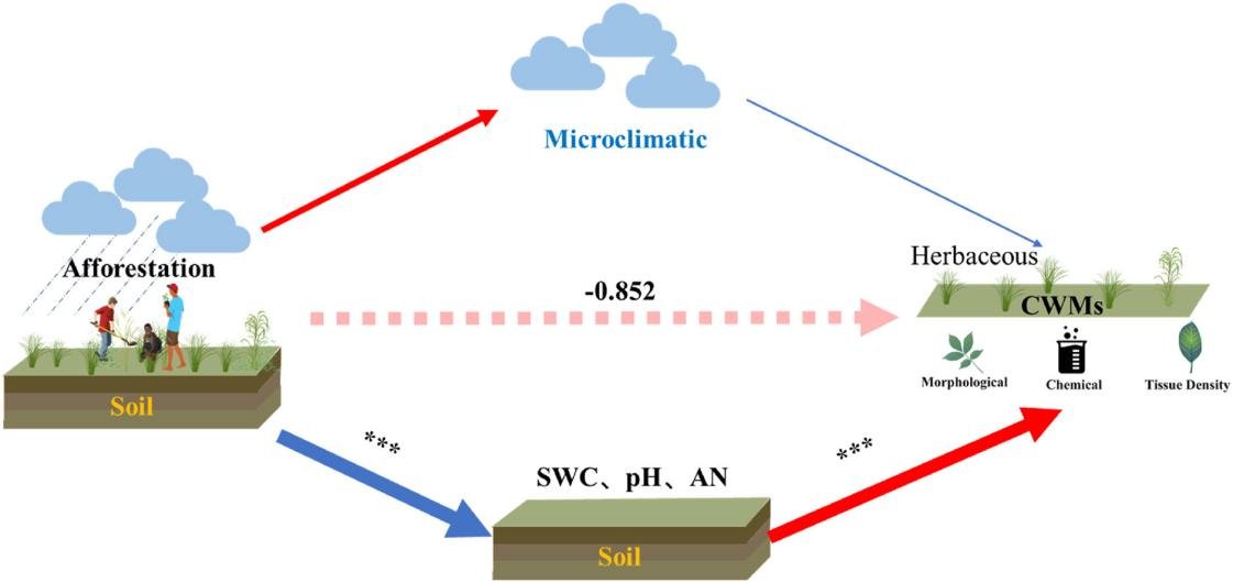 Forest Ecosystems tweet media