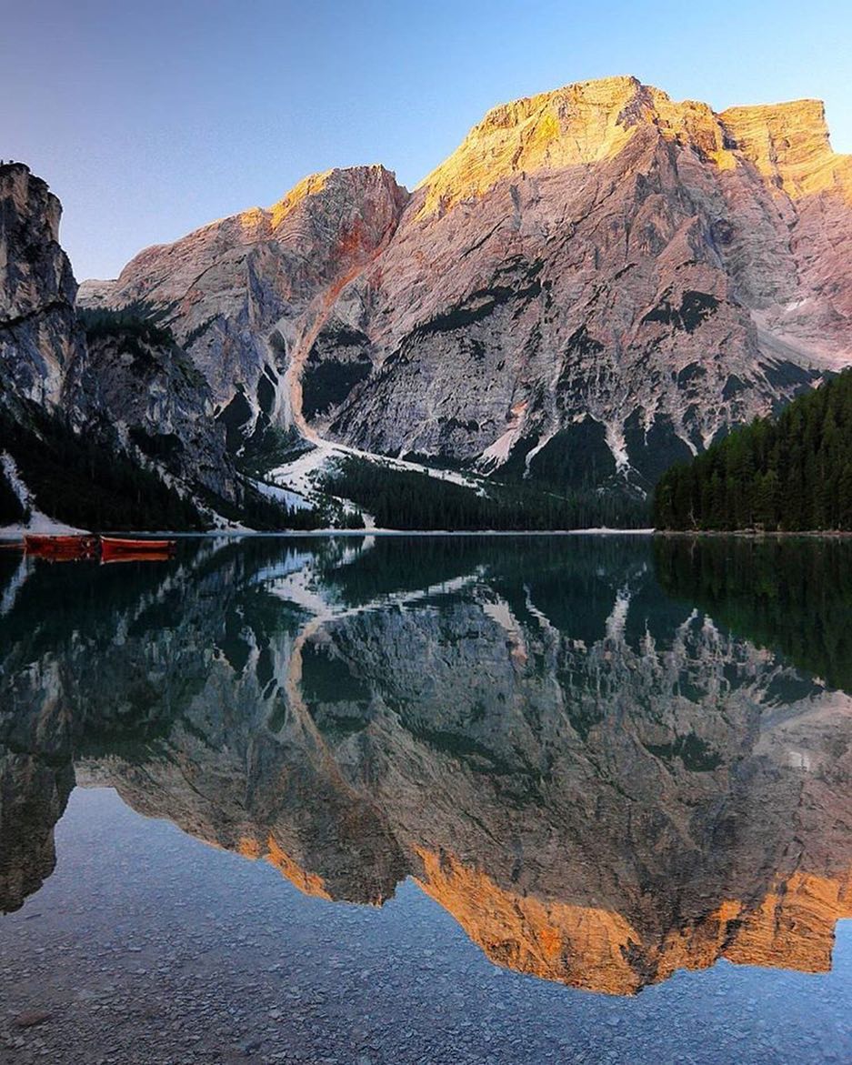 Мария Тюленева tweet media