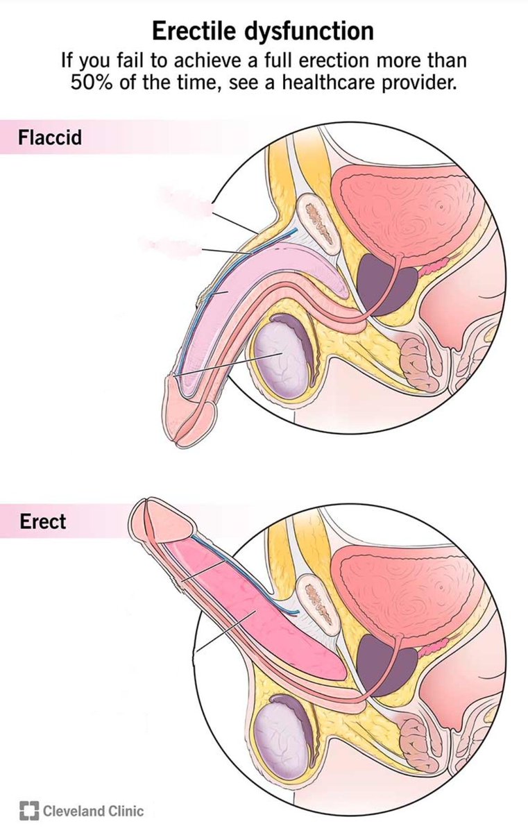 Dr Champion tweet media