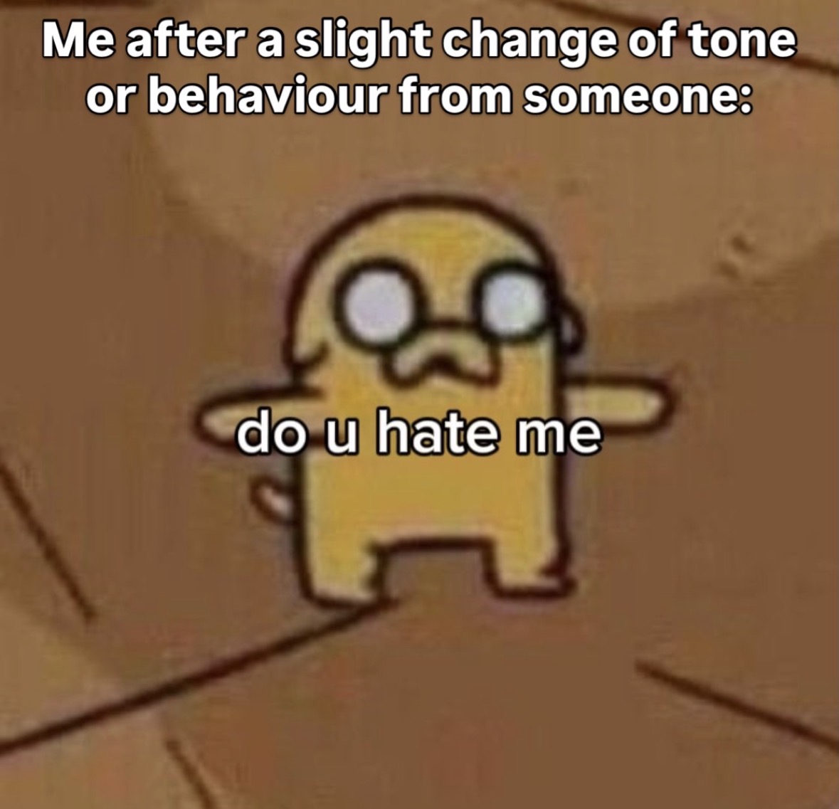 raccoon aesthetic. tweet media