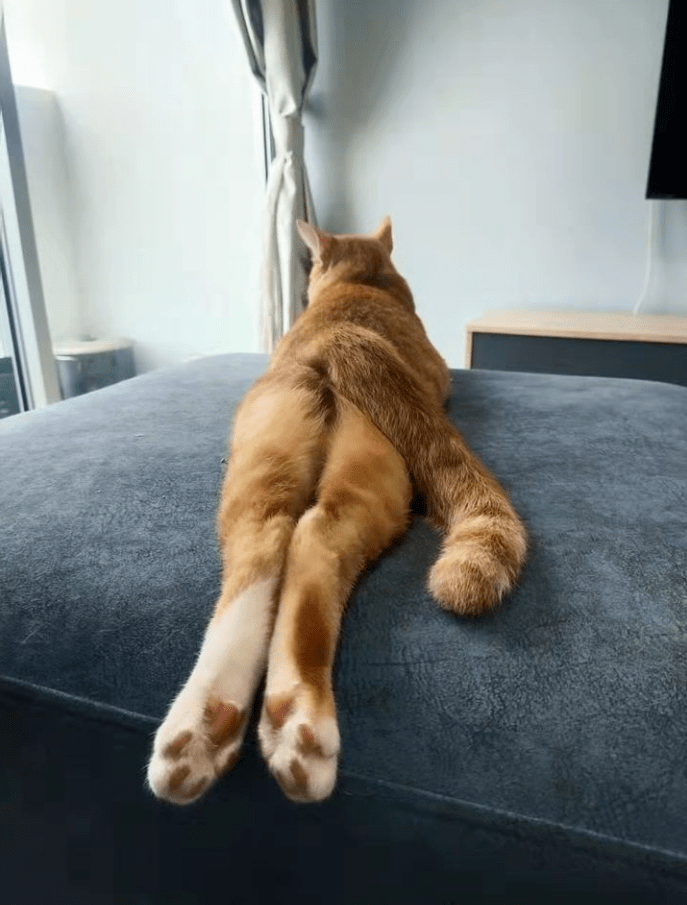 Marga Tokar tweet media