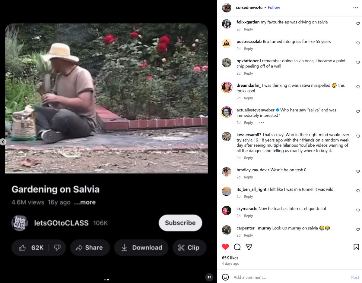 Comment Etiquette tweet media