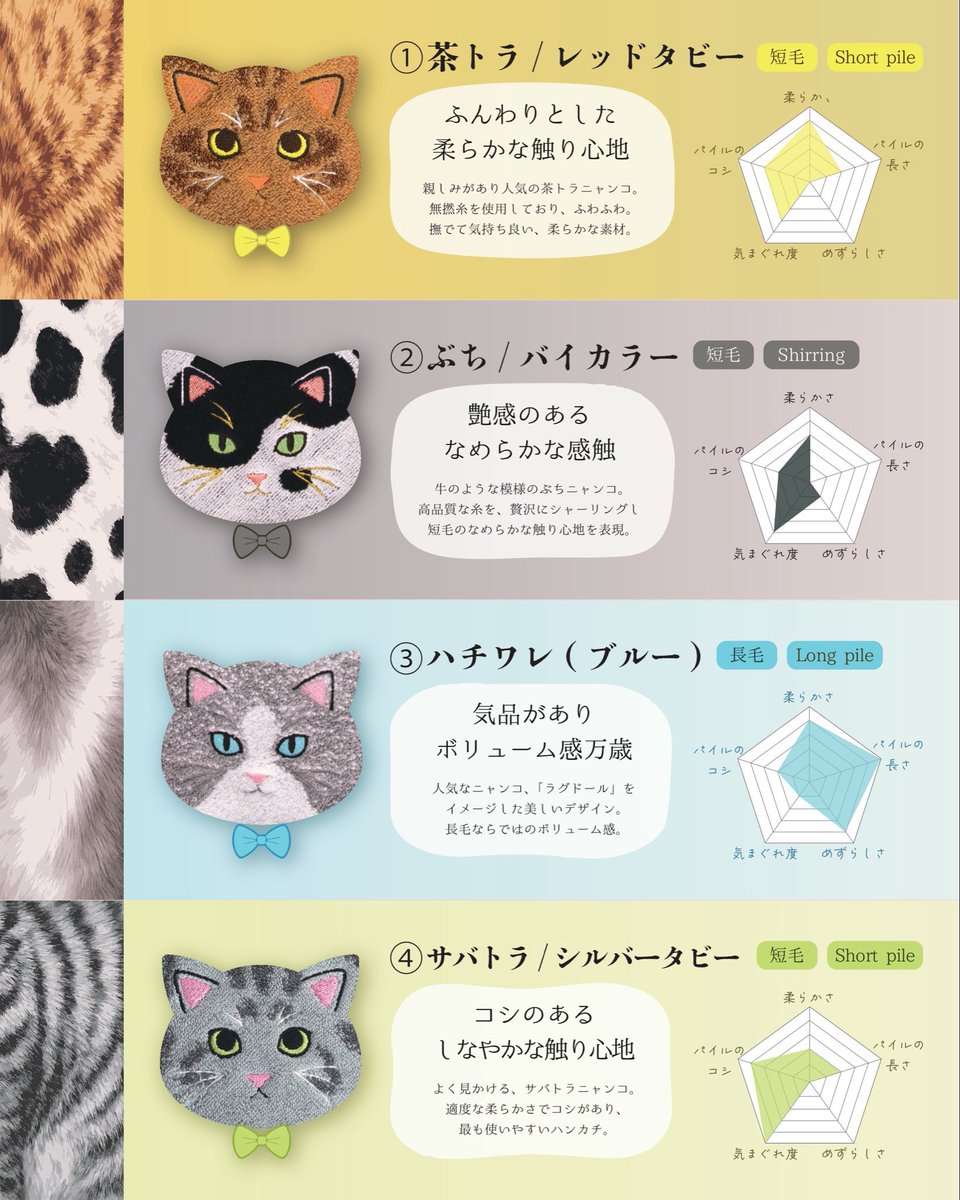 プレーリードッグ【公式】 tweet media