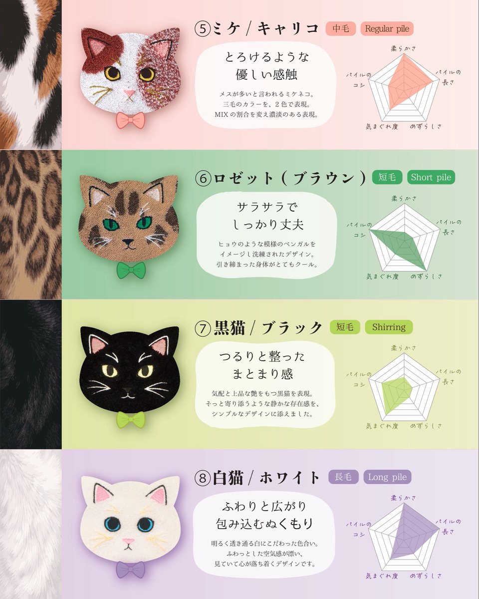 プレーリードッグ【公式】 tweet media