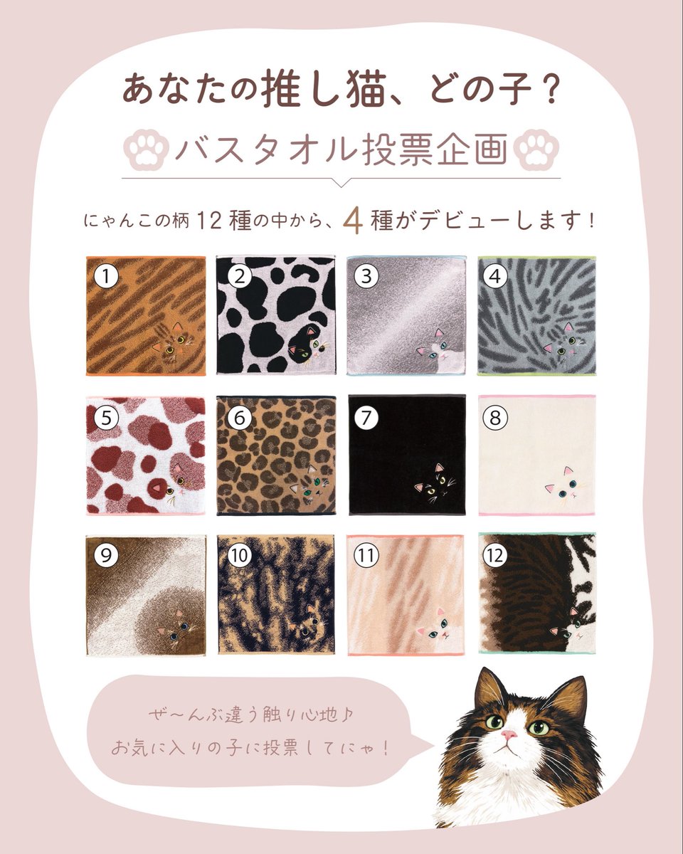 プレーリードッグ【公式】 tweet media