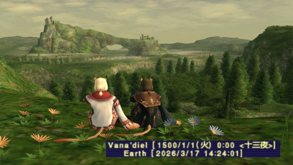 セフィ@汁鯖 tweet media