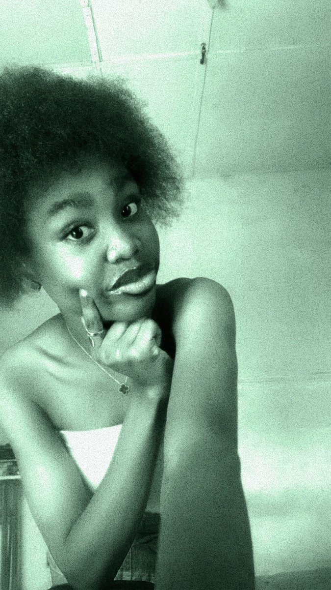 FiestaFi 🍁 tweet media