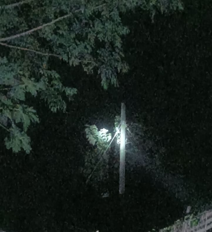 Human Rights Defenders Forum, INDIA tweet media