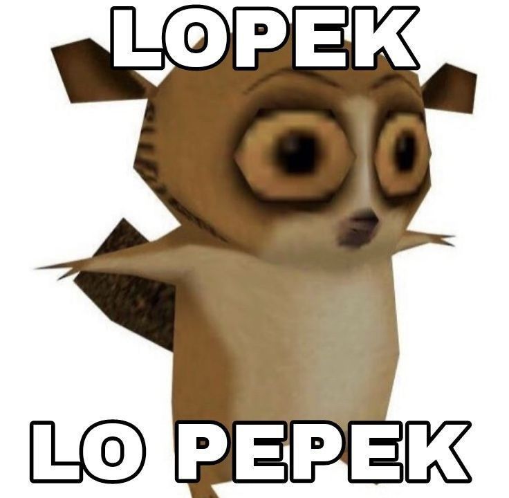 ｎｕｎ tweet media