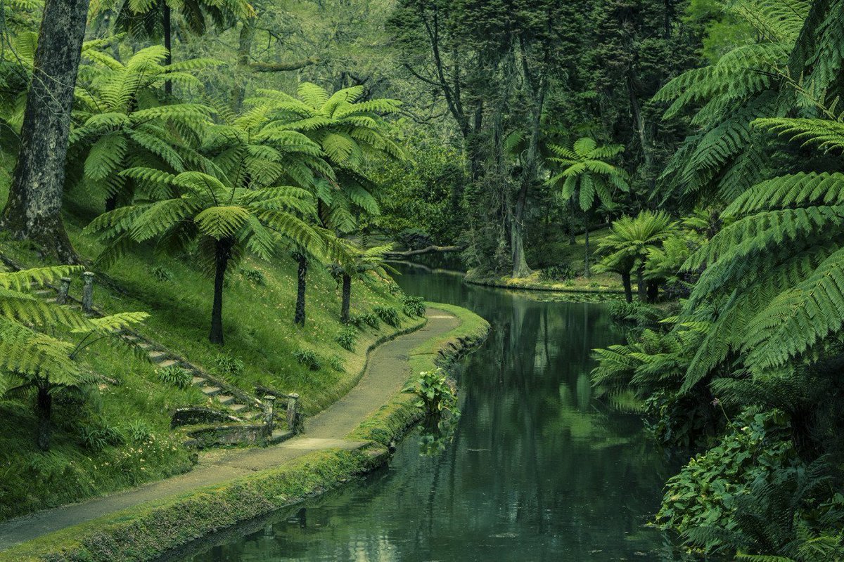 huariqueje's tweet photo. shades of green. https://t.co/fqVAoYX1kQ