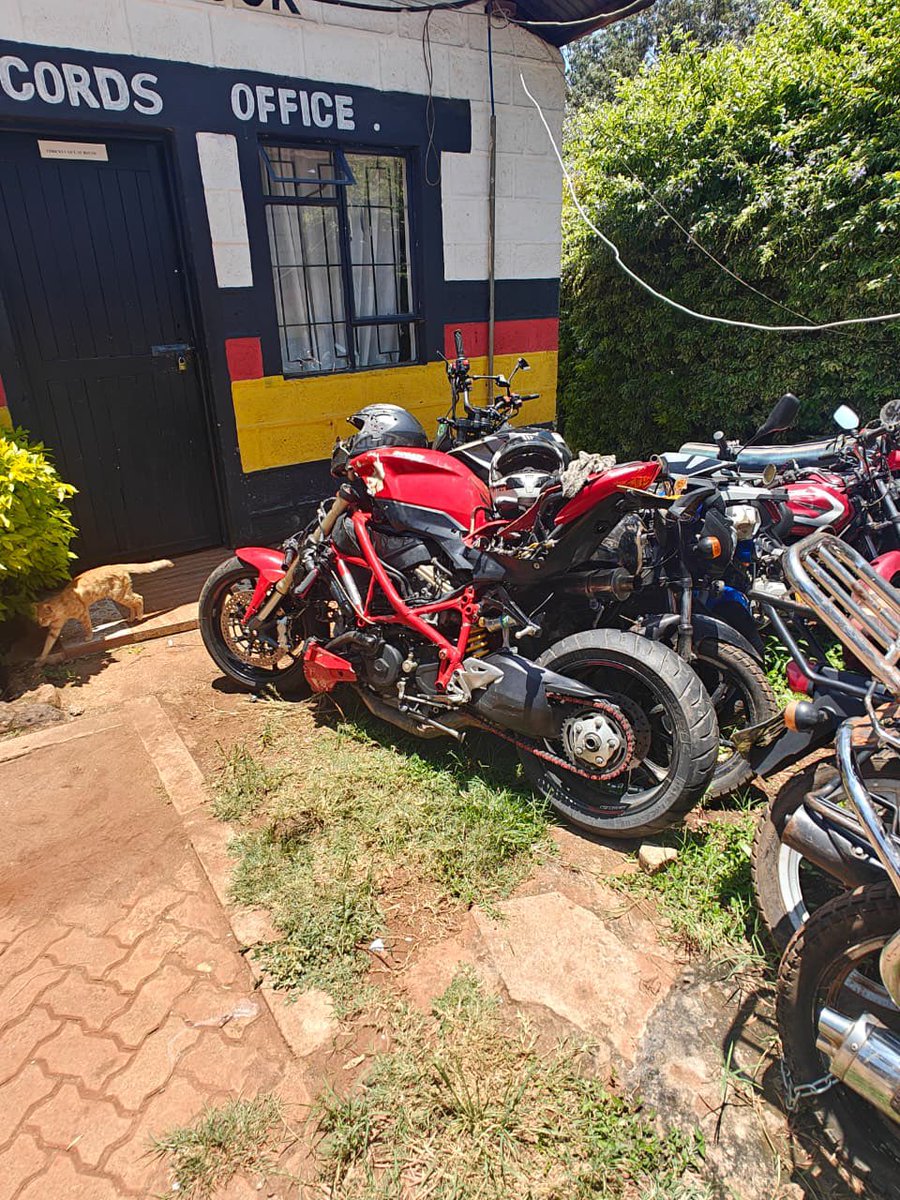 Discovery Nomads Safaris 🇰🇪 tweet media