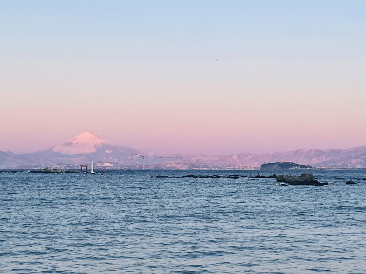 うみふじぃ tweet media