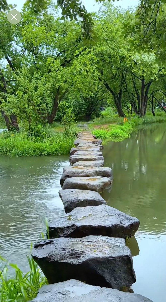 PETER PERKINS tweet media