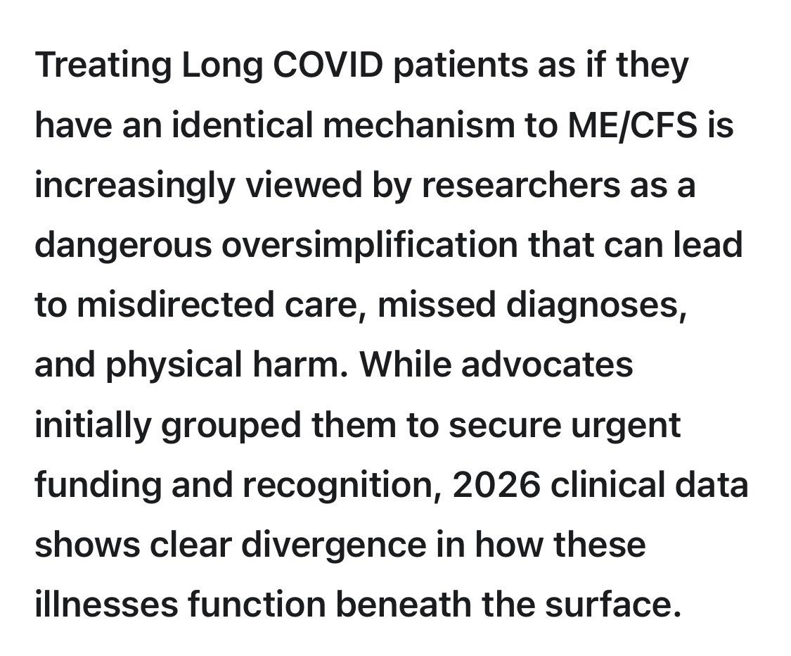 Feline Dionne tweet media