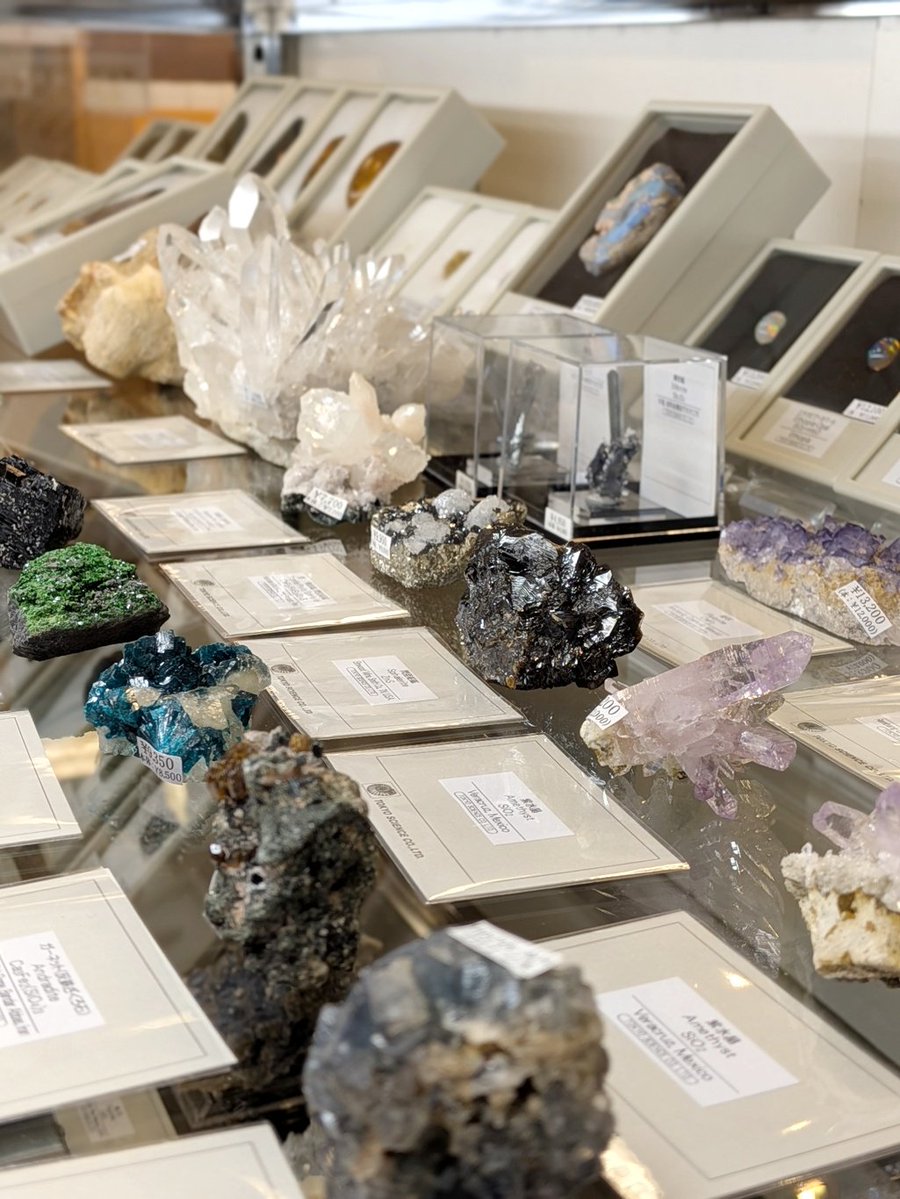 株式会社東京サイエンス tweet media