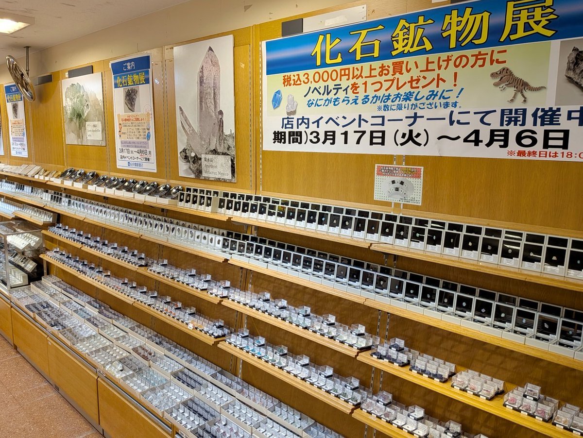 株式会社東京サイエンス tweet media