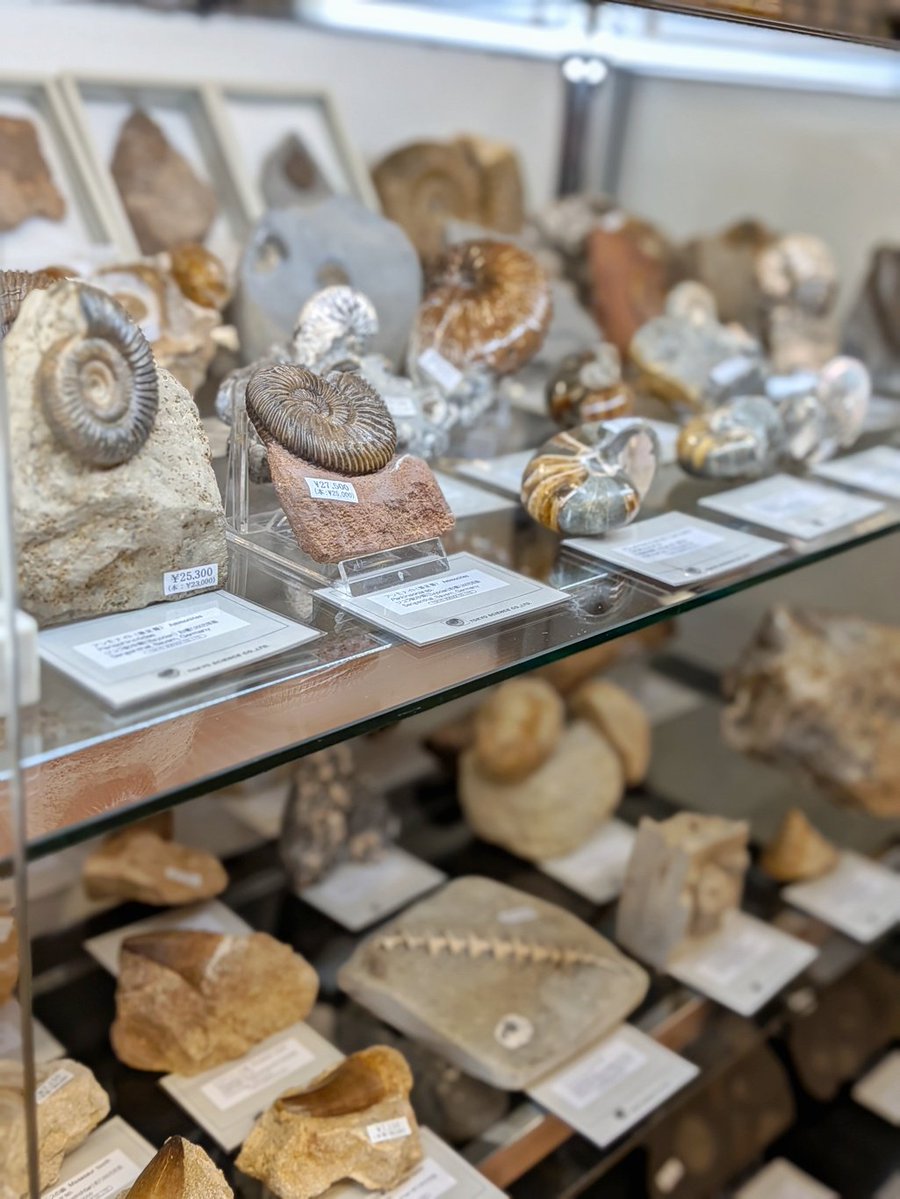 株式会社東京サイエンス tweet media