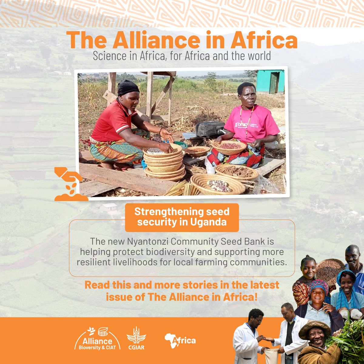 Alliance of Bioversity International and CIAT tweet media