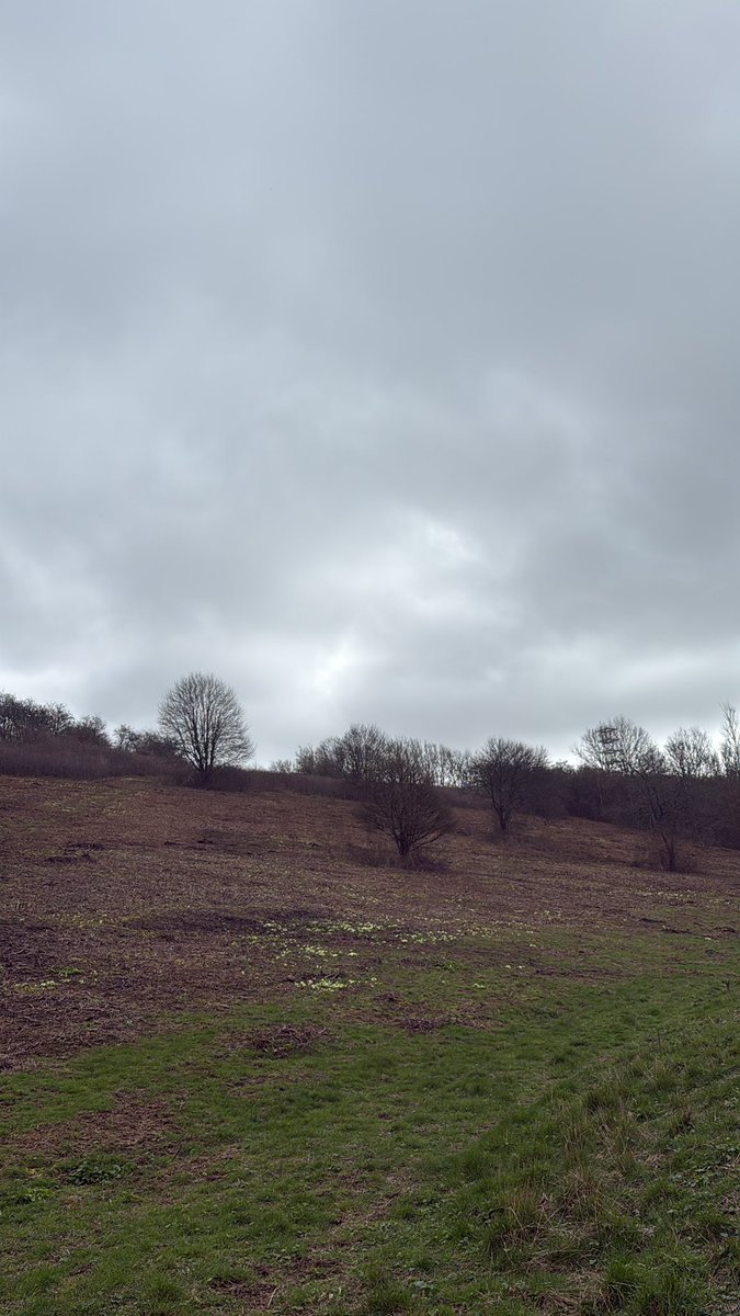 keeper ©️ tweet media