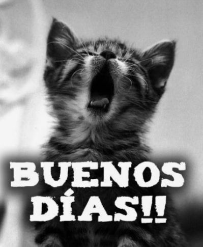 💙💜Berny🐶🐱🇨🇱 tweet media