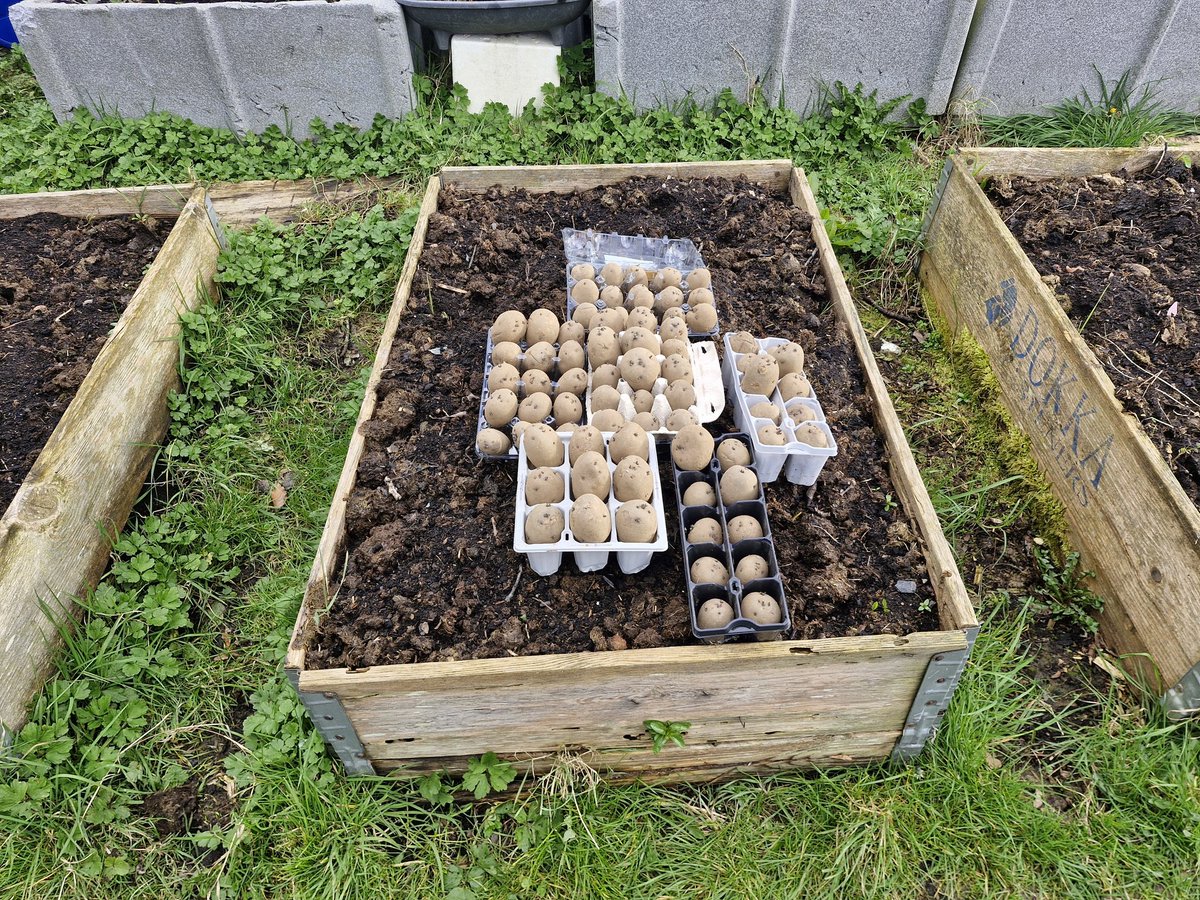 ☘️ Plot to the Plate☘️🍴🍻 tweet media