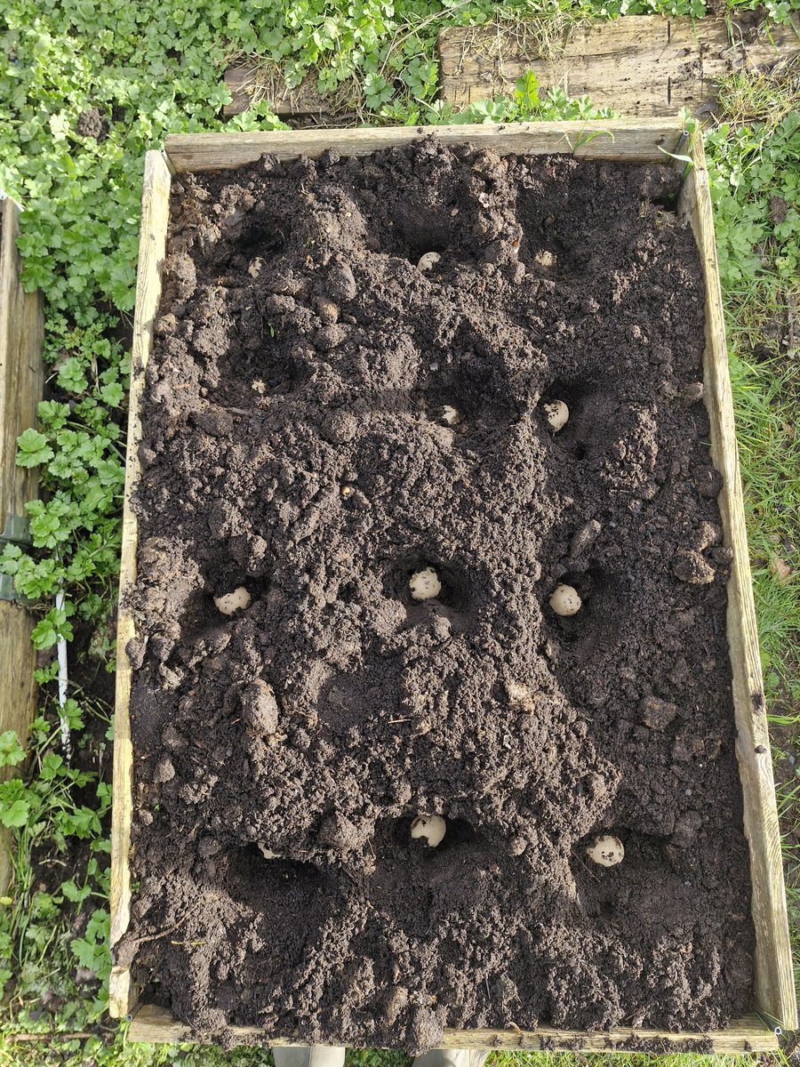 ☘️ Plot to the Plate☘️🍴🍻 tweet media