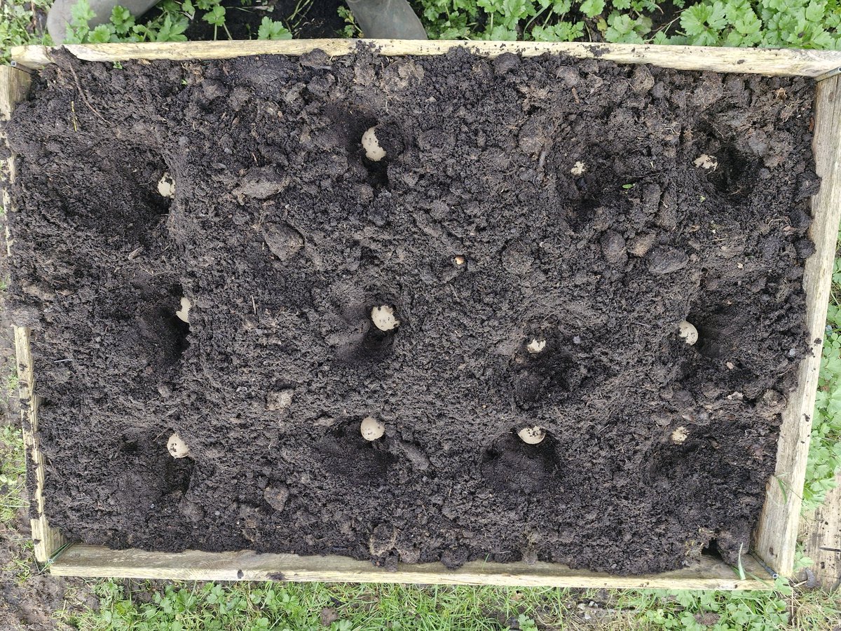 ☘️ Plot to the Plate☘️🍴🍻 tweet media