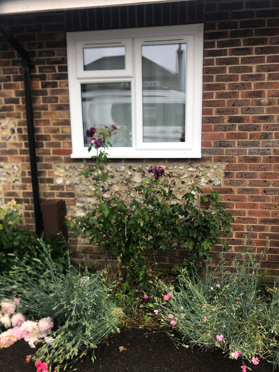 exec_windows's tweet image. ✨ A Fresh Upgrade for This Bungalow ✨

✔️ More energy efficient
✔️ Easy to maintain
✔️ Bright, refreshed look

📩 Get in touch today for a free quote and see how we can transform your home!

#WindowReplacement #PVCWindows #HomeImprovement #DoubleGlazing #HomeUpgrade