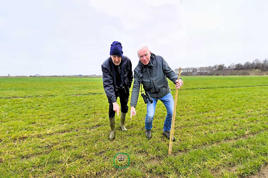 AltenaNet tweet media