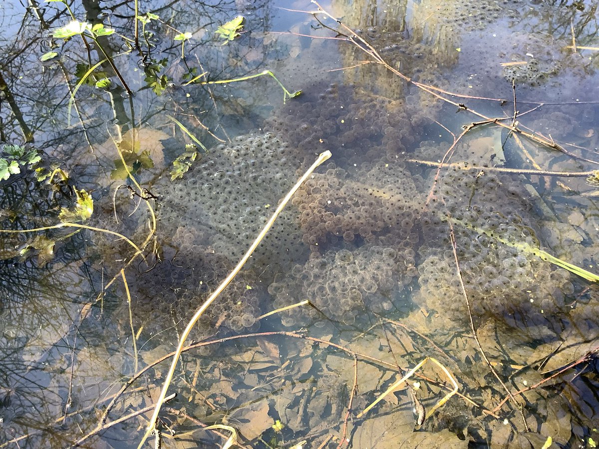 HT_OssettY34 tweet media