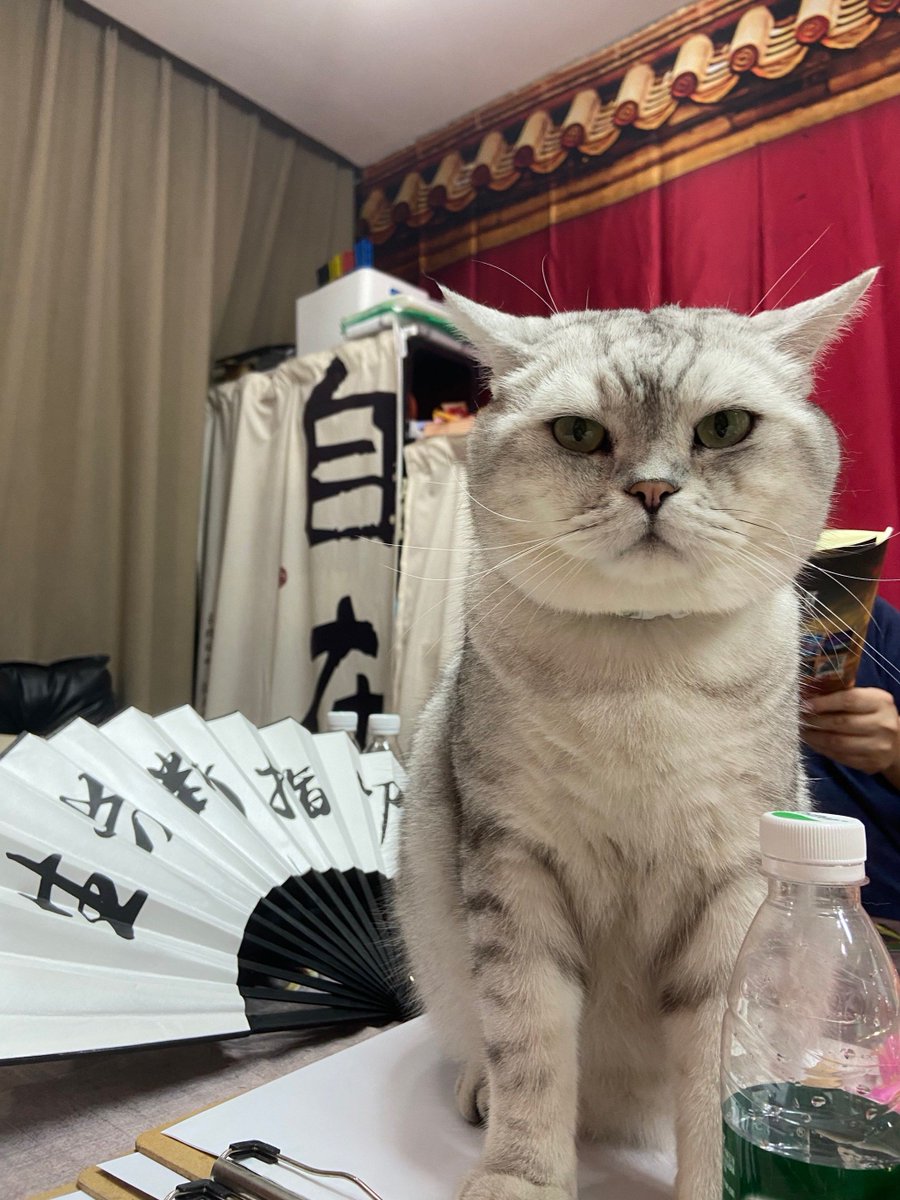 Lou Anne tweet media