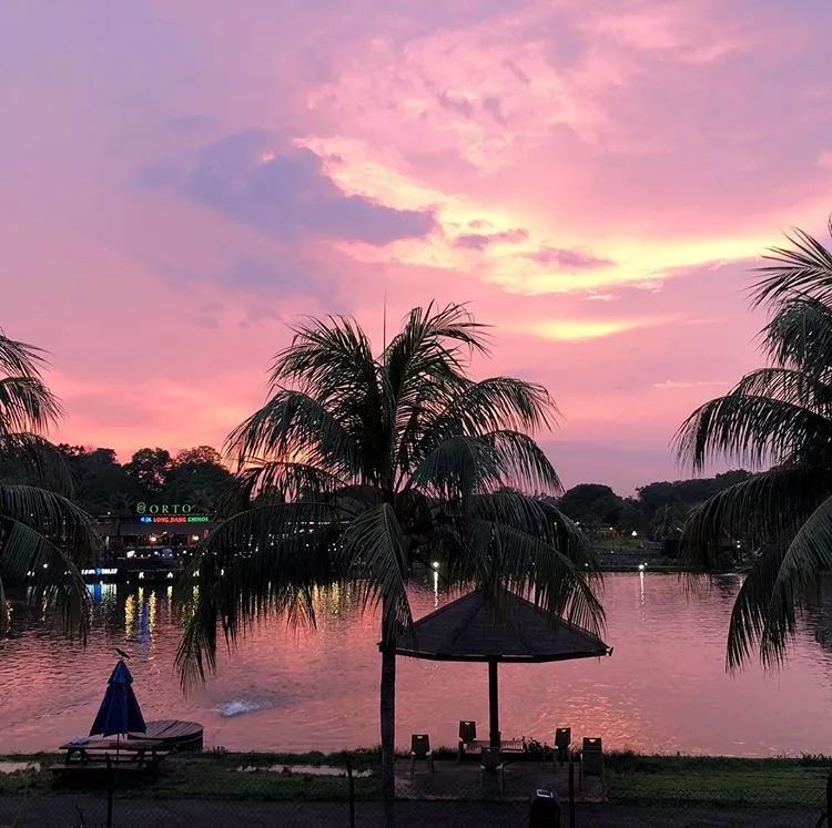 Martin Porath tweet media