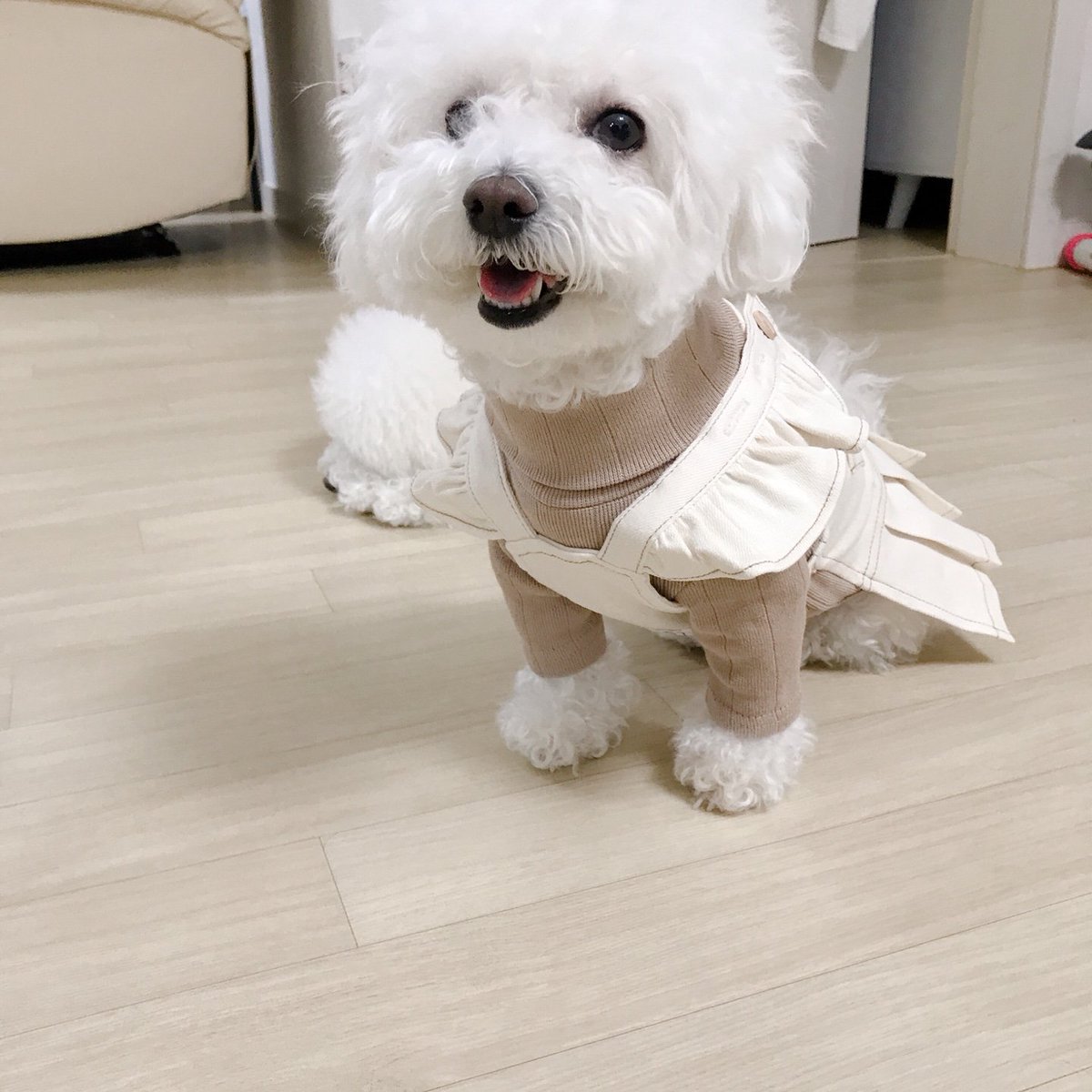 round_breadman's tweet photo. ▪︎  ~2026.03.01

최고로 착한 우리 아롱이
잘 기다리고 있어, 또 만나자 https://t.co/ToENZV8LYq