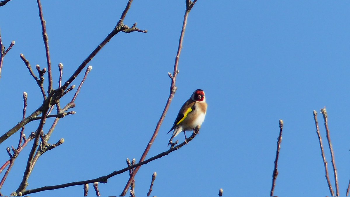 Callme Ouf tweet media