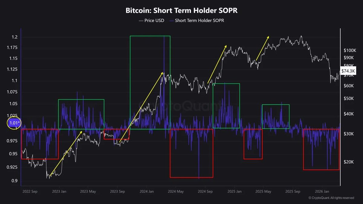 CryptoQuant.com Japan🇯🇵 tweet media