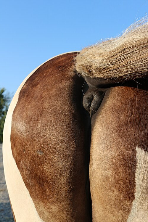 Samantha_fapper tweet media