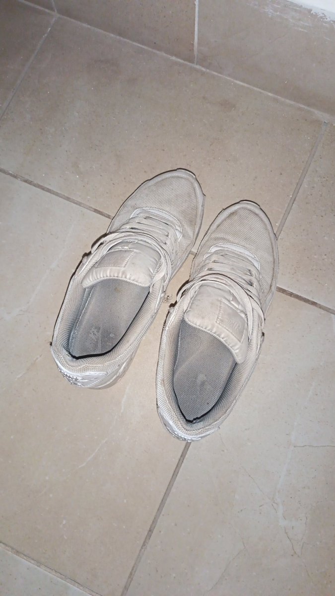 🇮🇹Italian Alpha🇵🇸 tweet media