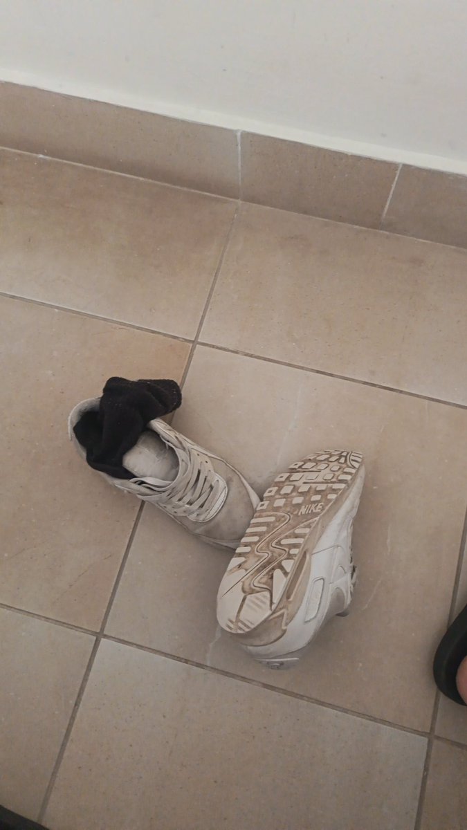 🇮🇹Italian Alpha🇵🇸 tweet media